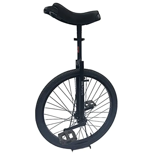 20 Inch Classic Black Unicycle