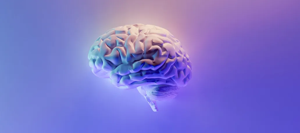 3D Rendered Brain with a Purple Bakcground